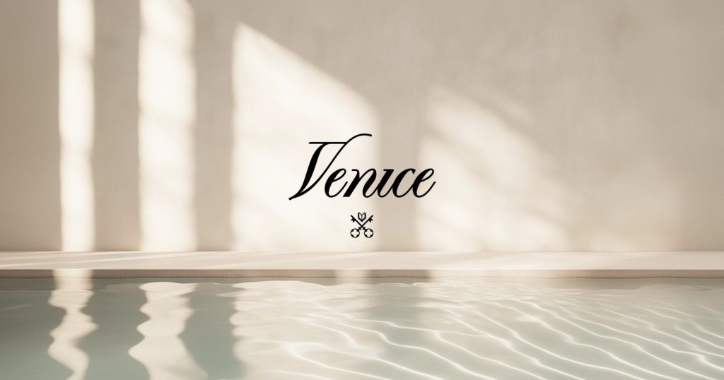Venice AI product cover