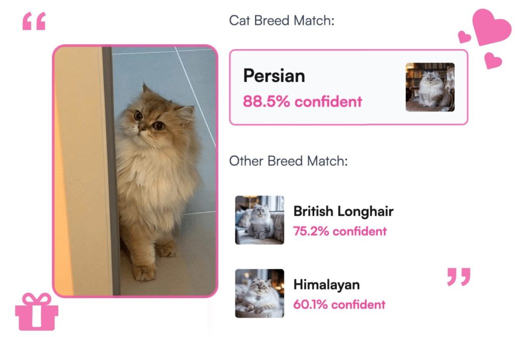 WhatBreedIsMyCat product cover